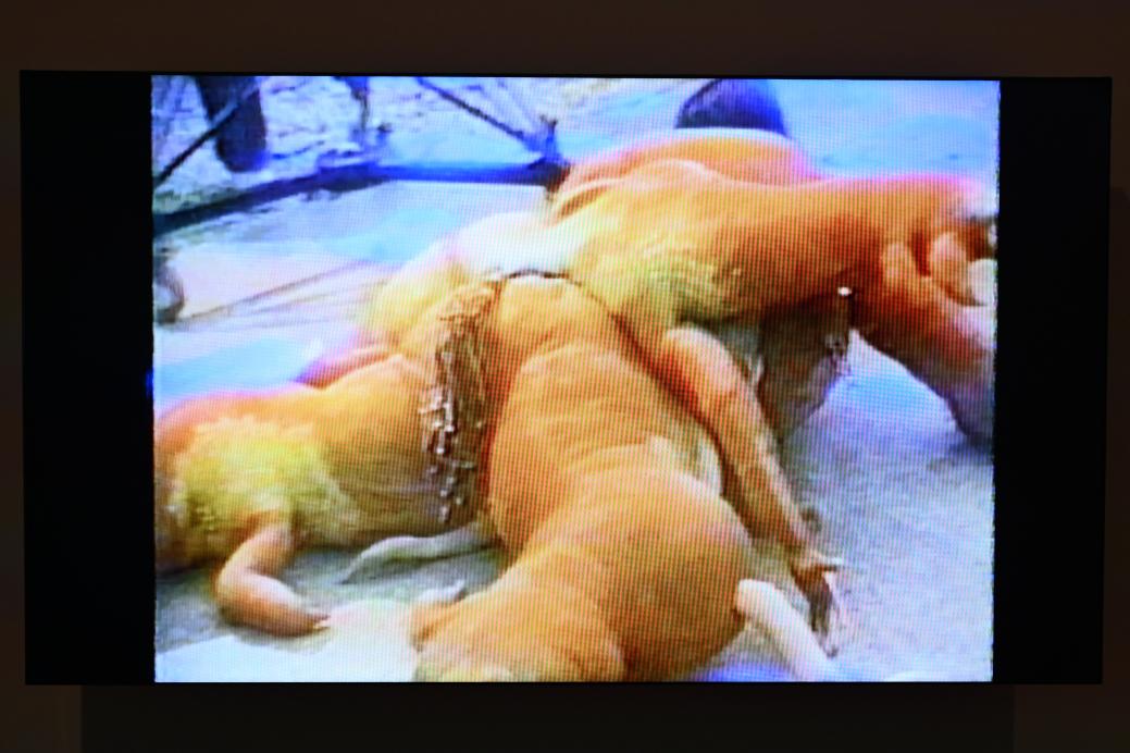 Lee Bul (1988–1990), Gier, London, Tate Gallery of Modern Art (Tate Modern), Performer and Participant 3, 1989, Bild 2/3