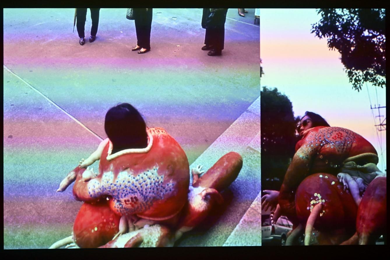 Lee Bul (1988–1990), Entschuldigung für das Leiden - Du denkst, ich bin ein Welpe auf einem Picknick?, London, Tate Gallery of Modern Art (Tate Modern), Performer and Participant 3, 1990, Bild 1/4