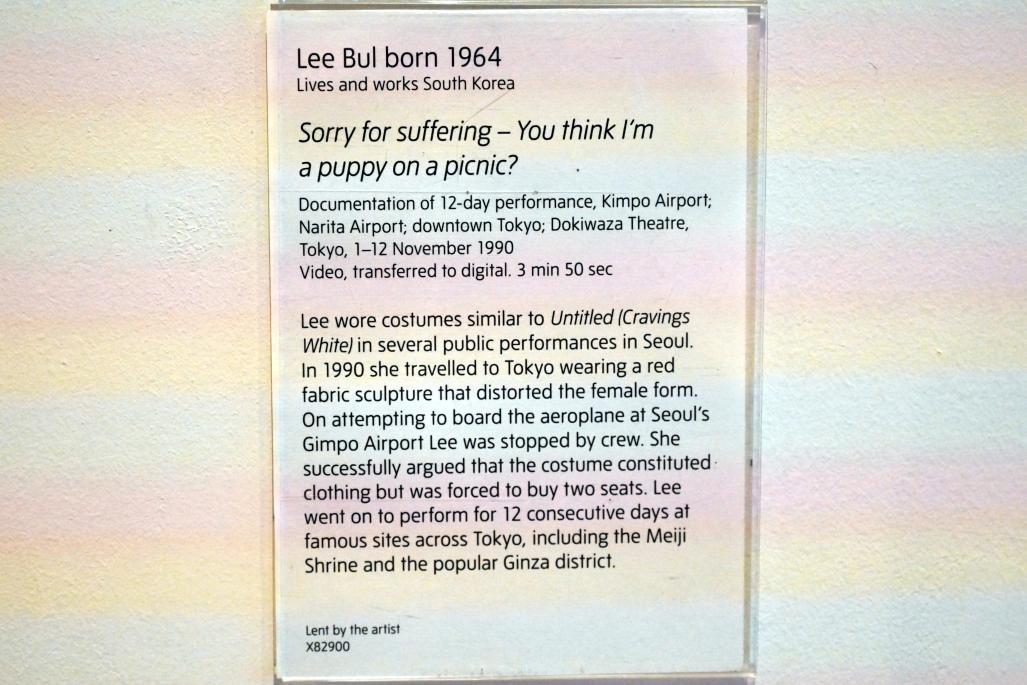 Lee Bul (1988–1990), Entschuldigung für das Leiden - Du denkst, ich bin ein Welpe auf einem Picknick?, London, Tate Gallery of Modern Art (Tate Modern), Performer and Participant 3, 1990, Bild 4/4