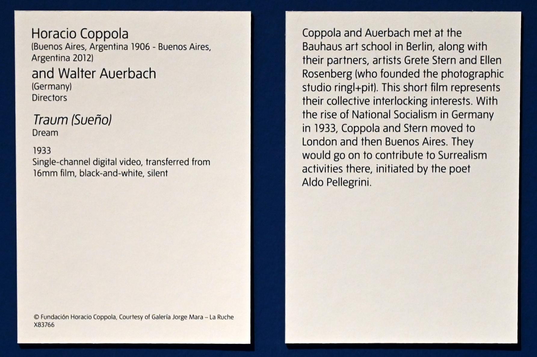 Horacio Coppola (1932–1933), Traum, London, Tate Modern, Ausstellung "Surrealism Beyond Borders" vom 24.02.-29.08.2022, Saal 1, 1933, Bild 3/3