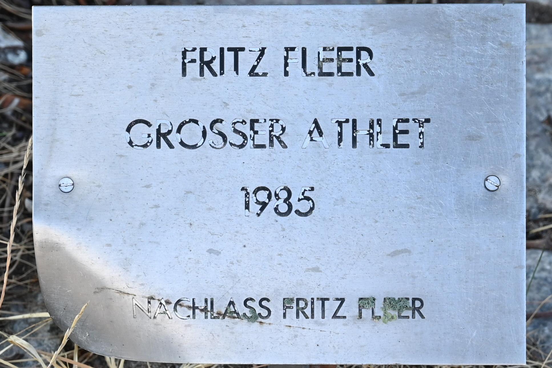 Fritz Fleer (1964–1985), Grosser Athlet, Schleswig, Landesmuseum für Kunst und Kulturgeschichte, Außenbereich, 1985, Bild 3/3