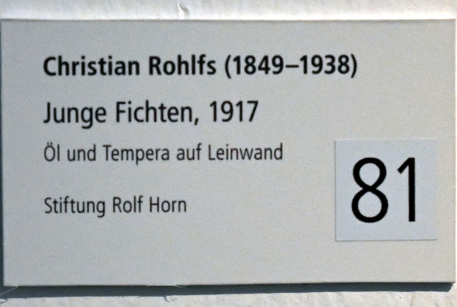 Christian Rohlfs (1874–1930), Junge Fichten, Schleswig, Landesmuseum für Kunst und Kulturgeschichte, Sammlung Rolf Horn, 1917, Bild 2/2