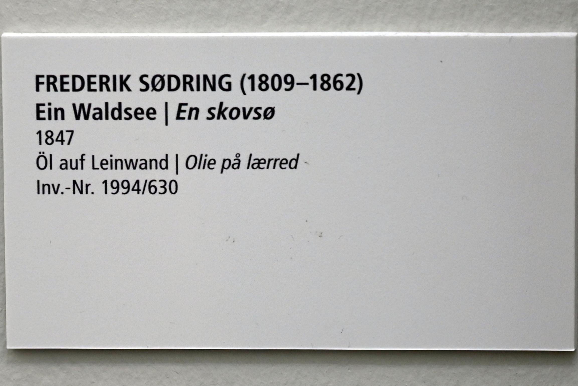 Frederik Sødring (1847), Ein Waldsee, Schleswig, Landesmuseum für Kunst und Kulturgeschichte, Saal 44, 1847, Bild 2/2