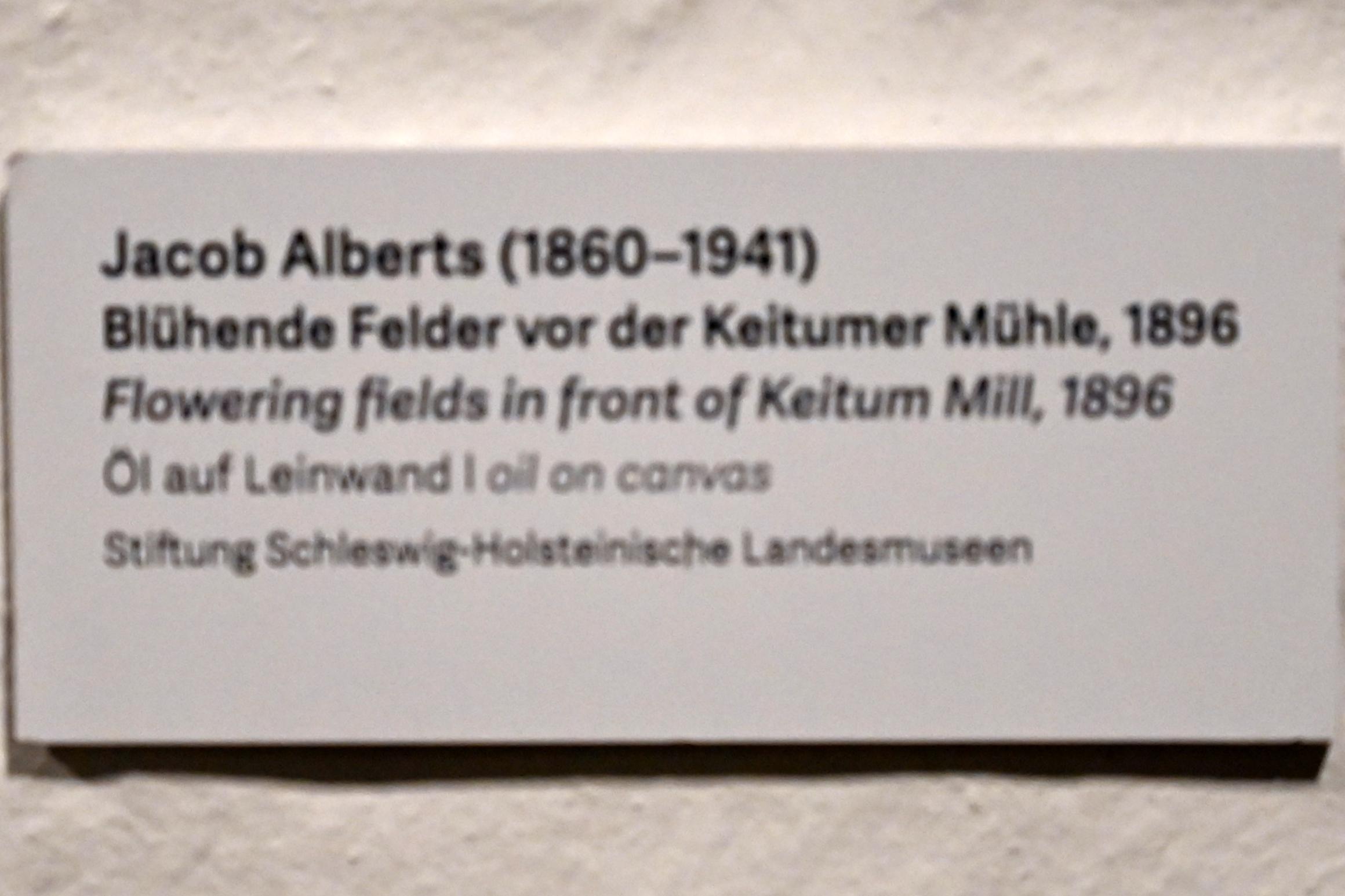 Jacob Alberts (1895–1896), Blühende Felder vor der Keitumer Mühle, Schleswig, Landesmuseum für Kunst und Kulturgeschichte, Kunst im 20. Jh., 1896, Bild 2/2