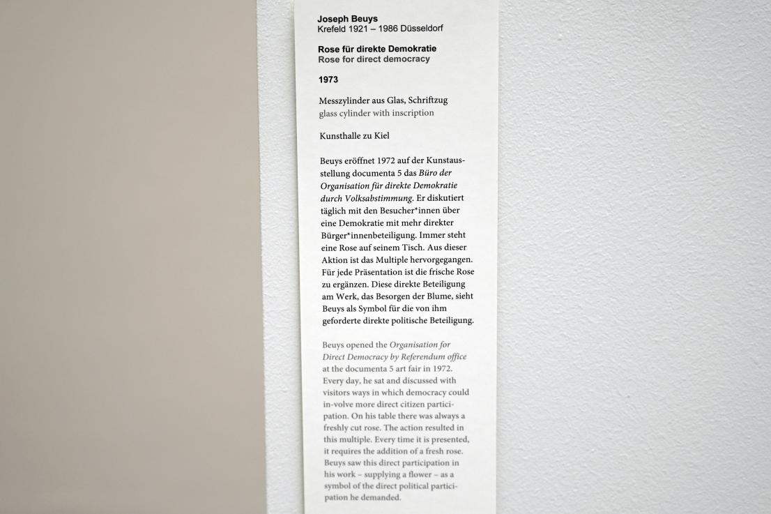 Joseph Beuys (1948–1985), Rose für direkte Demokratie, Kiel, Kunsthalle, Natur als Material, 1973, Bild 3/3