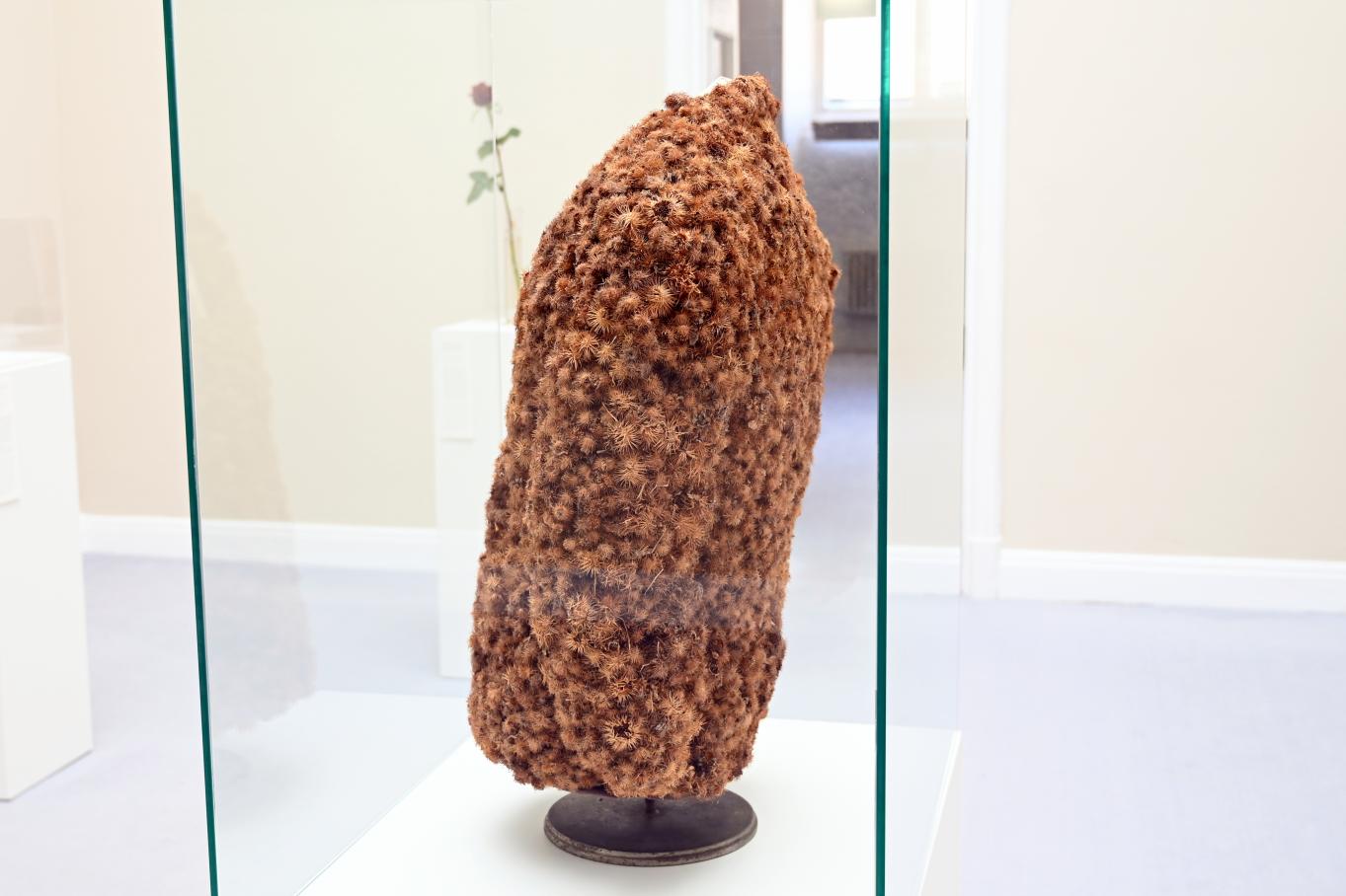 Raffael Rheinsberg (1978–1993), Klettenjacke, Kiel, Kunsthalle, Natur als Material, 1978–1979, Bild 3/4