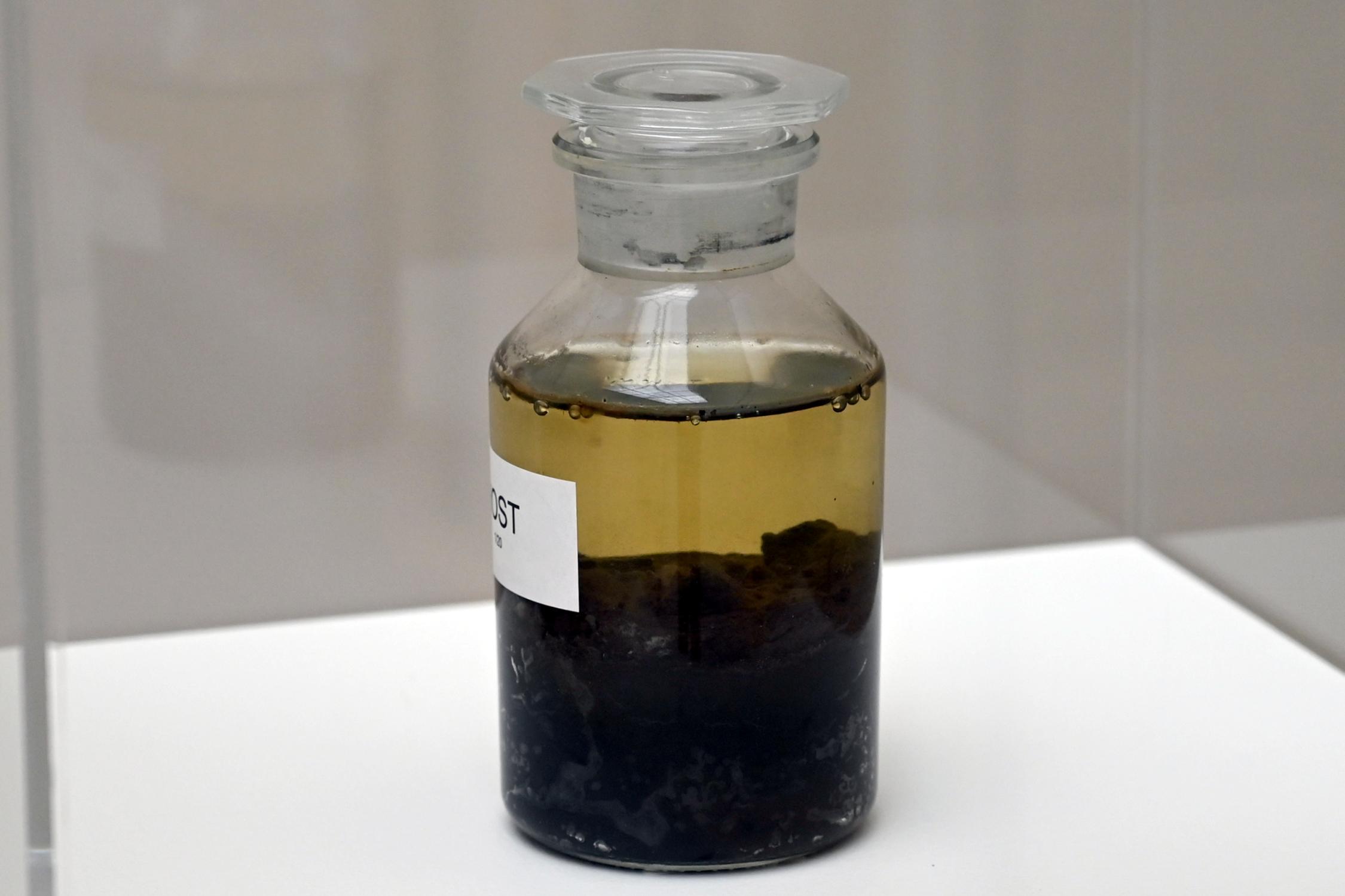 Antony Gormley (1992–2018), Host (Wirt), Kiel, Kunsthalle, Natur als Material, 1997, Bild 2/3