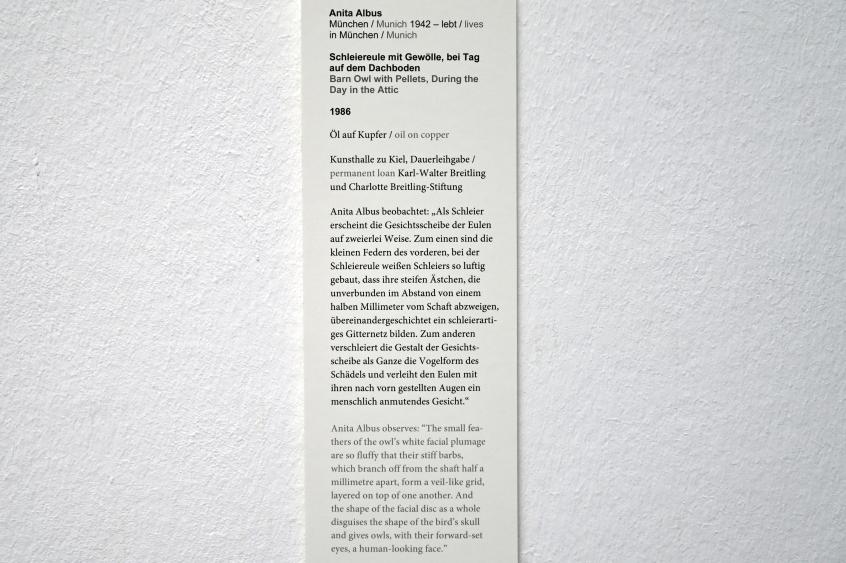 Anita Albus (1986–2004), Schleiereule mit Gewölle, bei Tag auf dem Dachboden, Kiel, Kunsthalle, Anita Albus, 1986, Bild 2/2