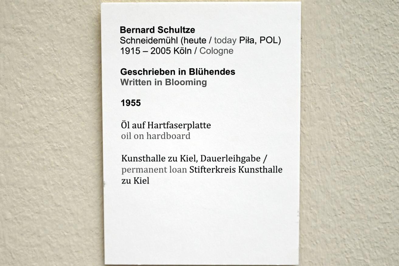 Bernard Schultze (1947–1996), Geschrieben in Blühendes, Kiel, Kunsthalle, Landschaften, 1955, Bild 2/2
