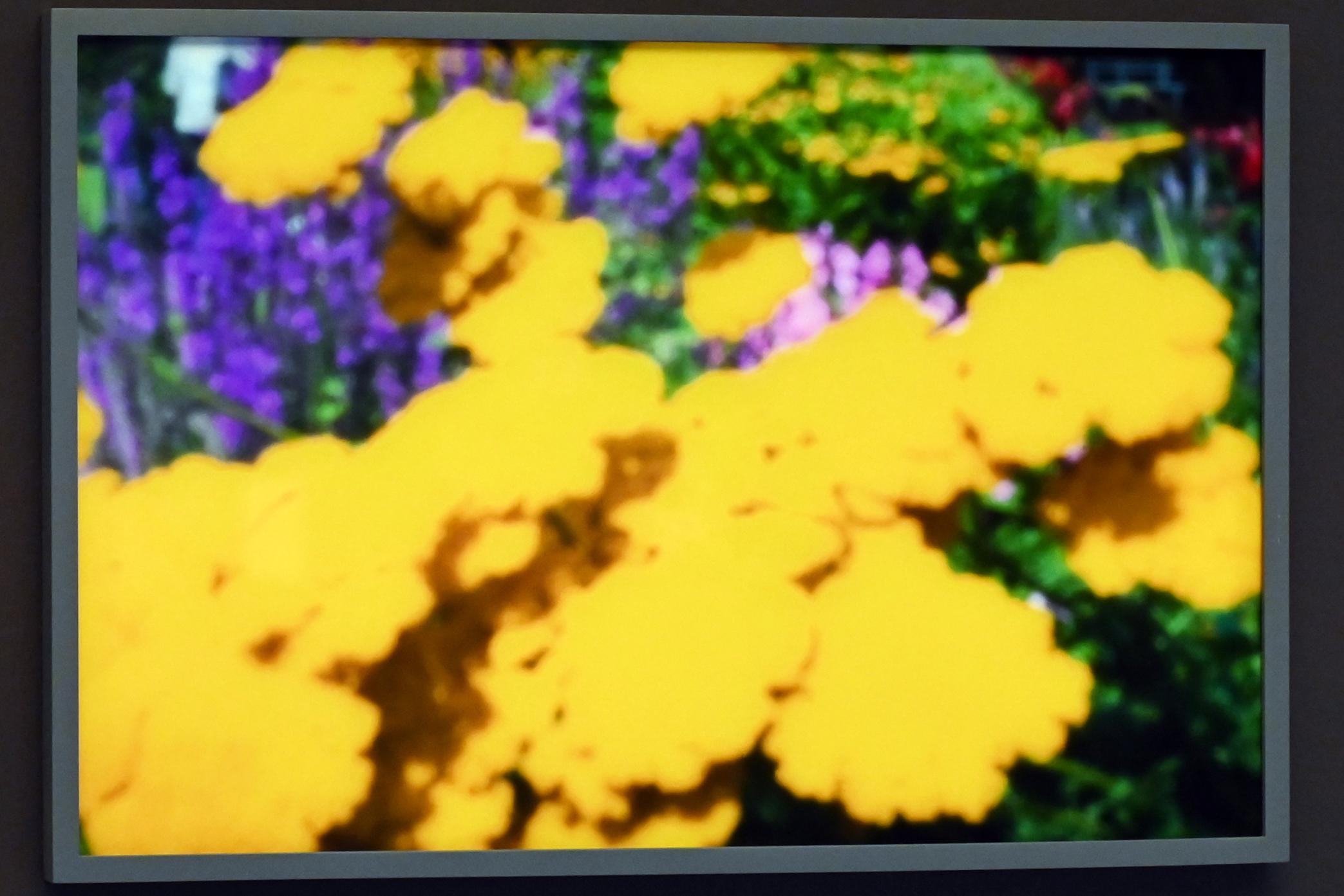 Lina Kim (2010), Ohne Titel (aus der Nolde-Serie), Kiel, Kunsthalle, Kräfte der Natur, 2010