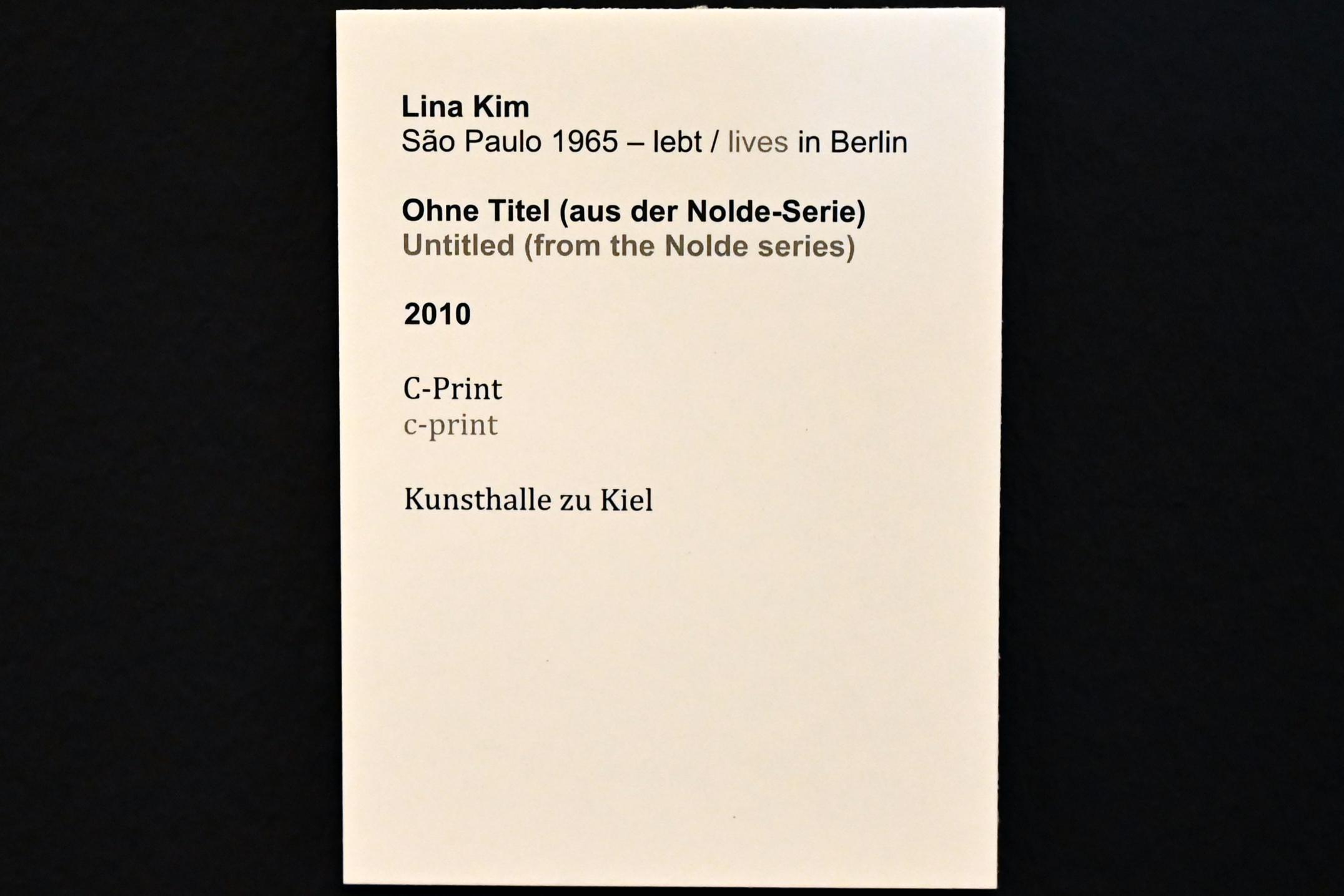 Lina Kim (2010), Ohne Titel (aus der Nolde-Serie), Kiel, Kunsthalle, Kräfte der Natur, 2010, Bild 2/2