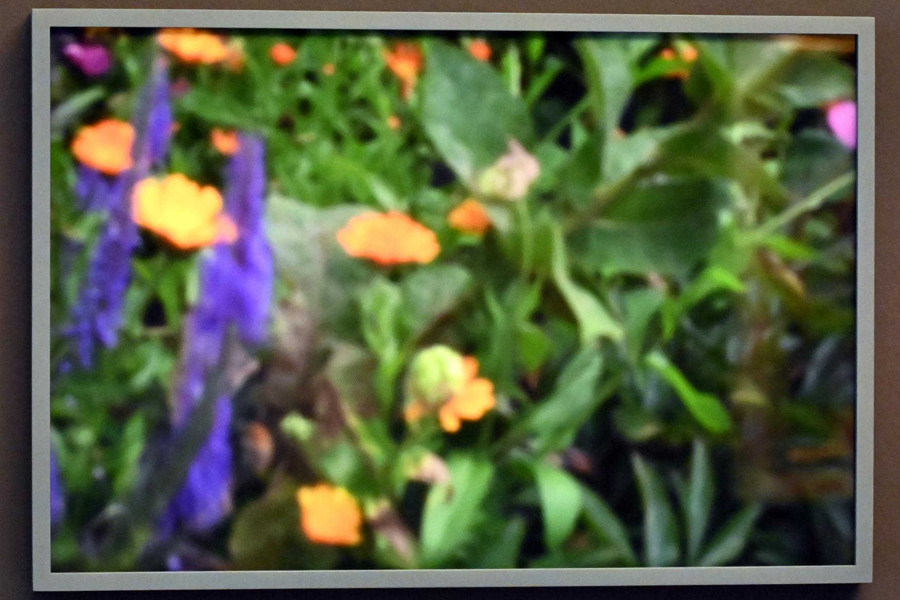 Lina Kim (2010), Ohne Titel (aus der Nolde-Serie), Kiel, Kunsthalle, Kräfte der Natur, 2010