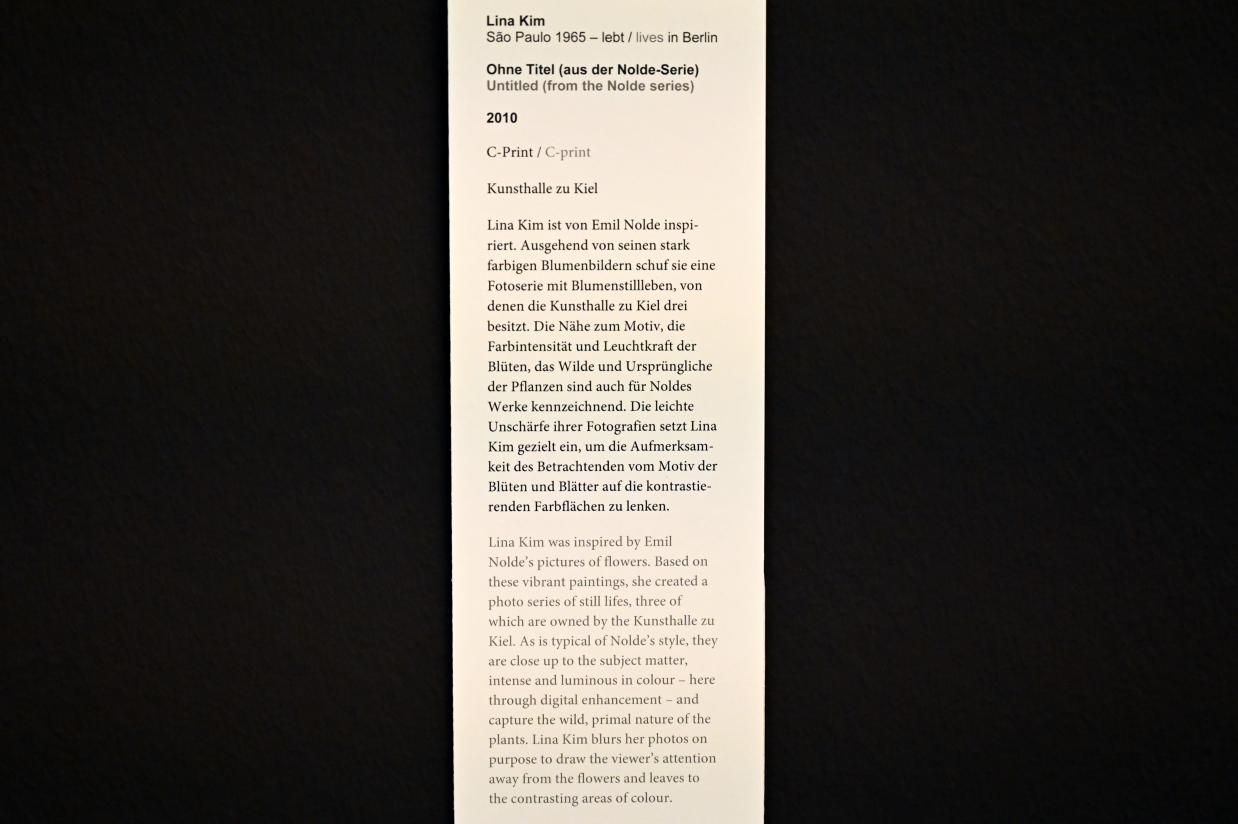 Lina Kim (2010), Ohne Titel (aus der Nolde-Serie), Kiel, Kunsthalle, Kräfte der Natur, 2010, Bild 2/2