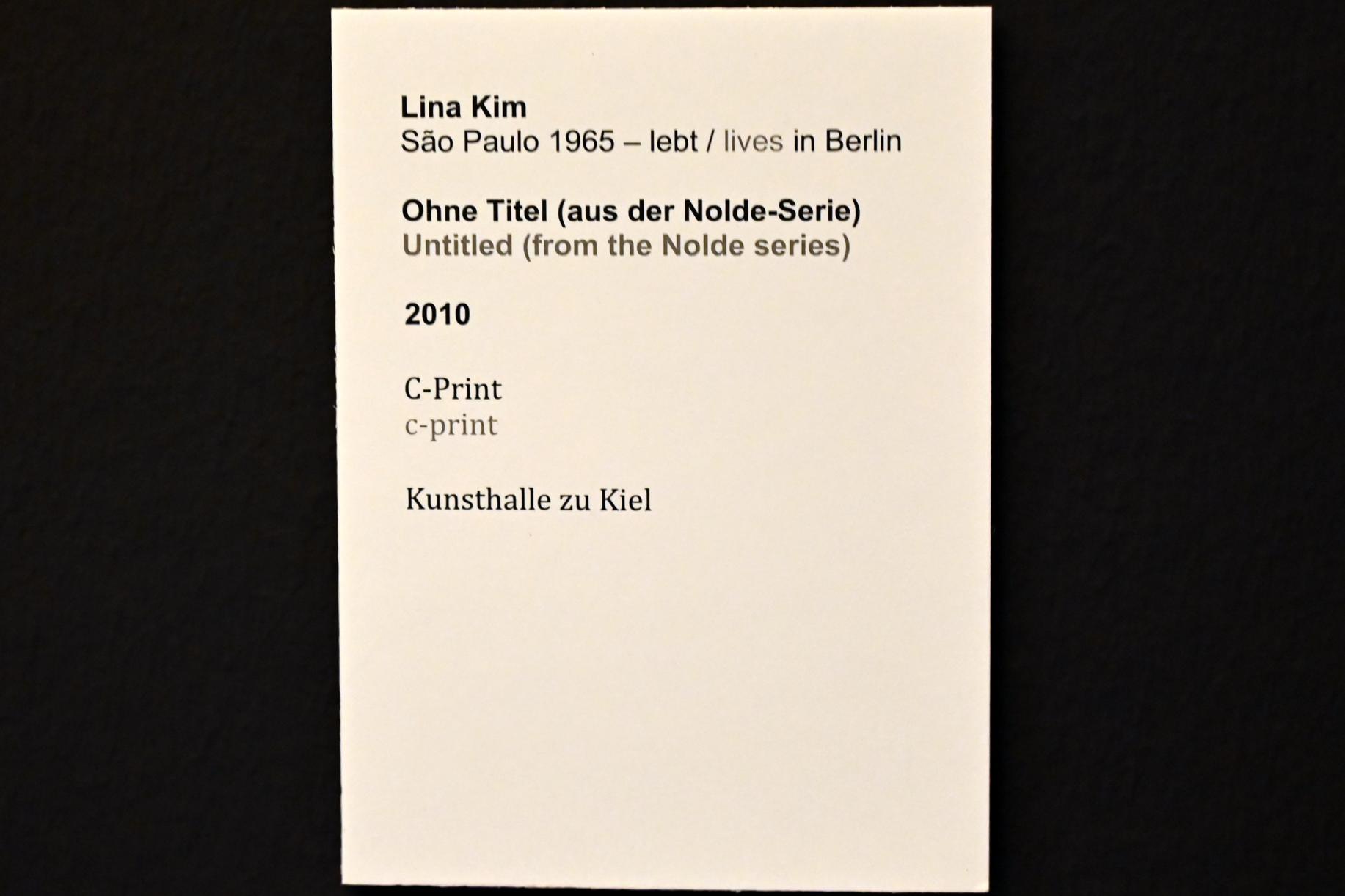Lina Kim (2010), Ohne Titel (aus der Nolde-Serie), Kiel, Kunsthalle, Kräfte der Natur, 2010, Bild 2/2