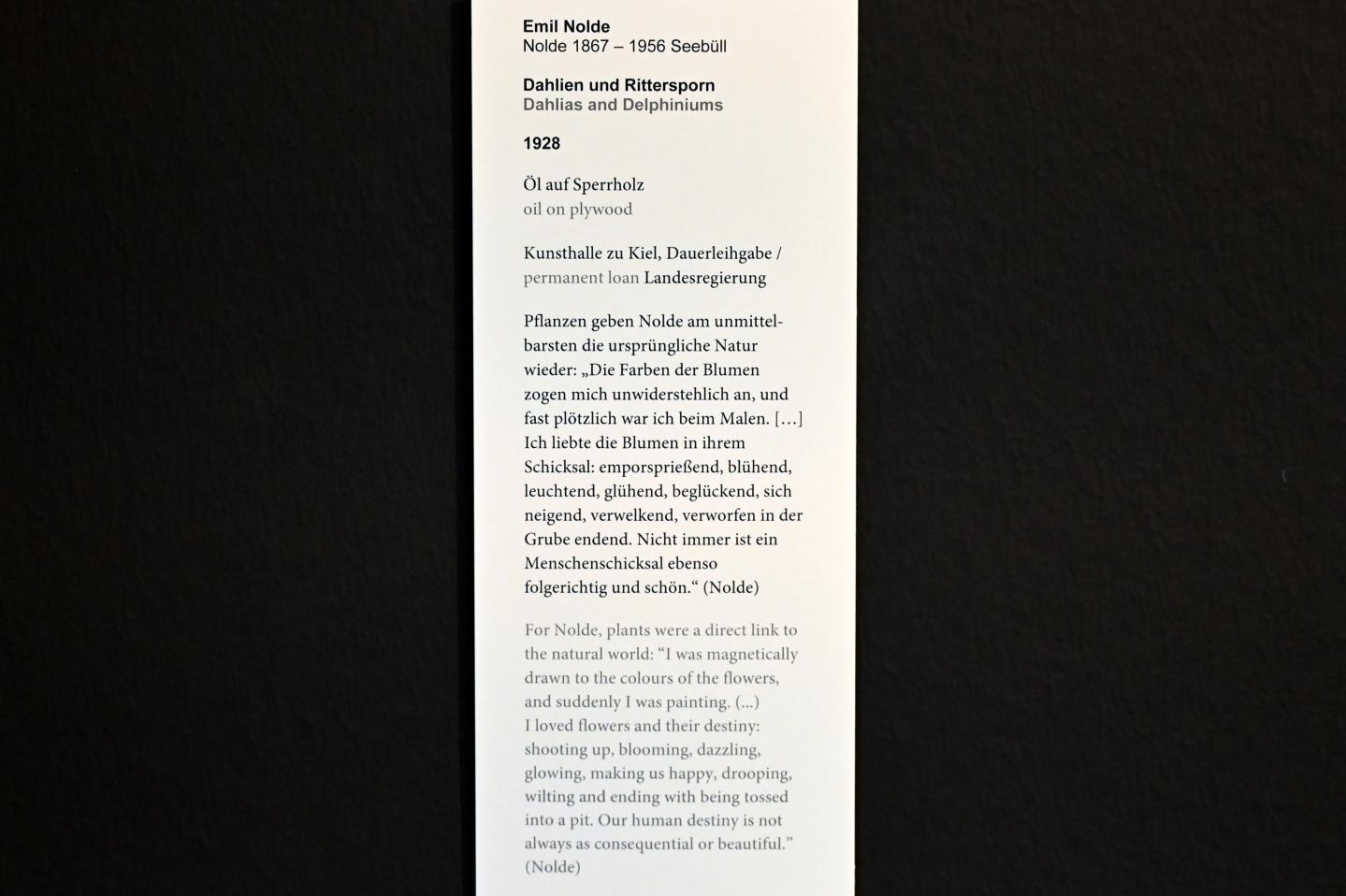 Emil Nolde (1903–1946), Dahlien und Rittersporn, Kiel, Kunsthalle, Kräfte der Natur, 1928, Bild 2/2