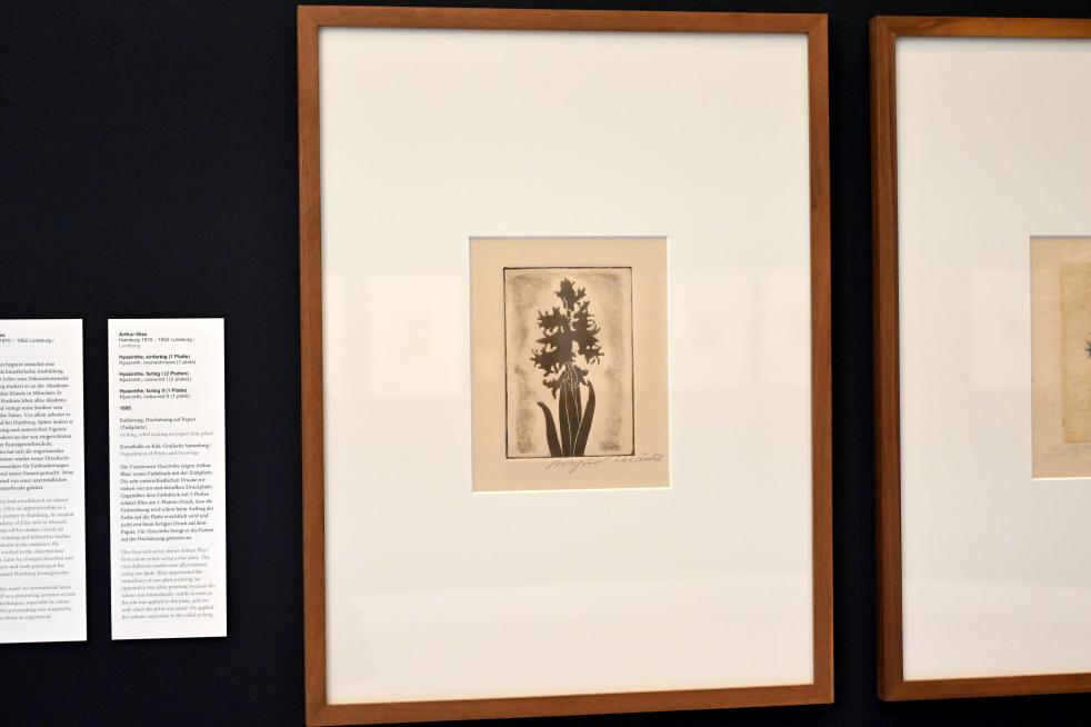 Arthur Illies (1895–1912), Hyazinthe, einfarbig, Kiel, Kunsthalle, Pflanzen, 1895, Bild 2/3