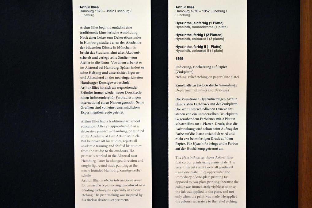 Arthur Illies (1895–1912), Hyazinthe, einfarbig, Kiel, Kunsthalle, Pflanzen, 1895, Bild 3/3