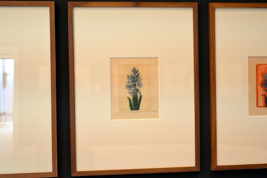 Arthur Illies (1895–1912), Hyazinthe, farbig I, Kiel, Kunsthalle, Pflanzen, 1895, Bild 2/3