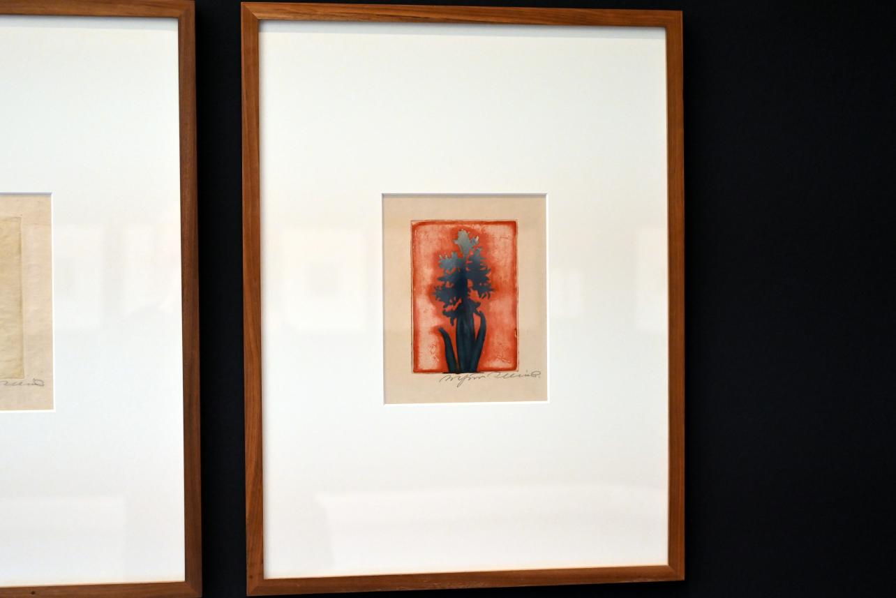 Arthur Illies (1895–1912), Hyazinthe, farbig II, Kiel, Kunsthalle, Pflanzen, 1895, Bild 2/3