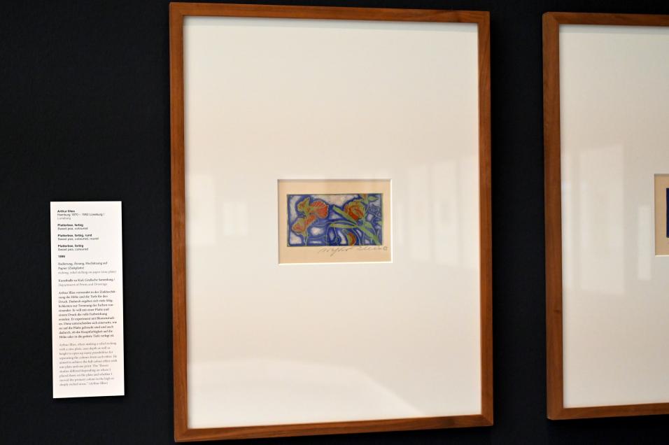 Arthur Illies (1895–1912), Platterbse, Kiel, Kunsthalle, Pflanzen, 1896, Bild 2/3