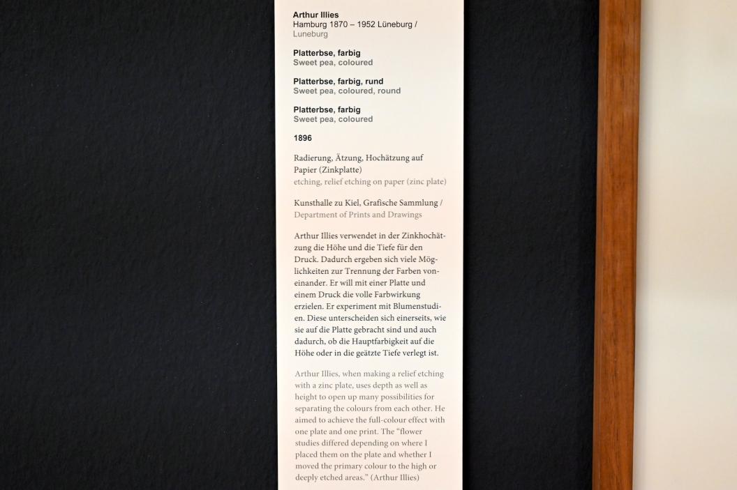 Arthur Illies (1895–1912), Platterbse, Kiel, Kunsthalle, Pflanzen, 1896, Bild 3/3