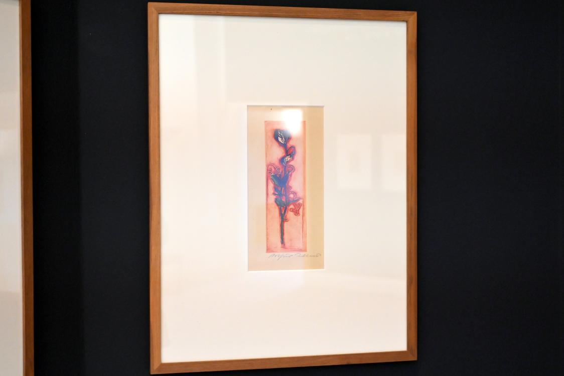 Arthur Illies (1895–1912), Platterbse, Kiel, Kunsthalle, Pflanzen, 1896, Bild 2/3