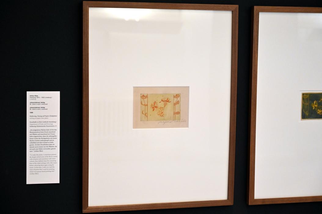 Arthur Illies (1895–1912), Johanniskraut, Kiel, Kunsthalle, Pflanzen, 1896, Bild 2/3