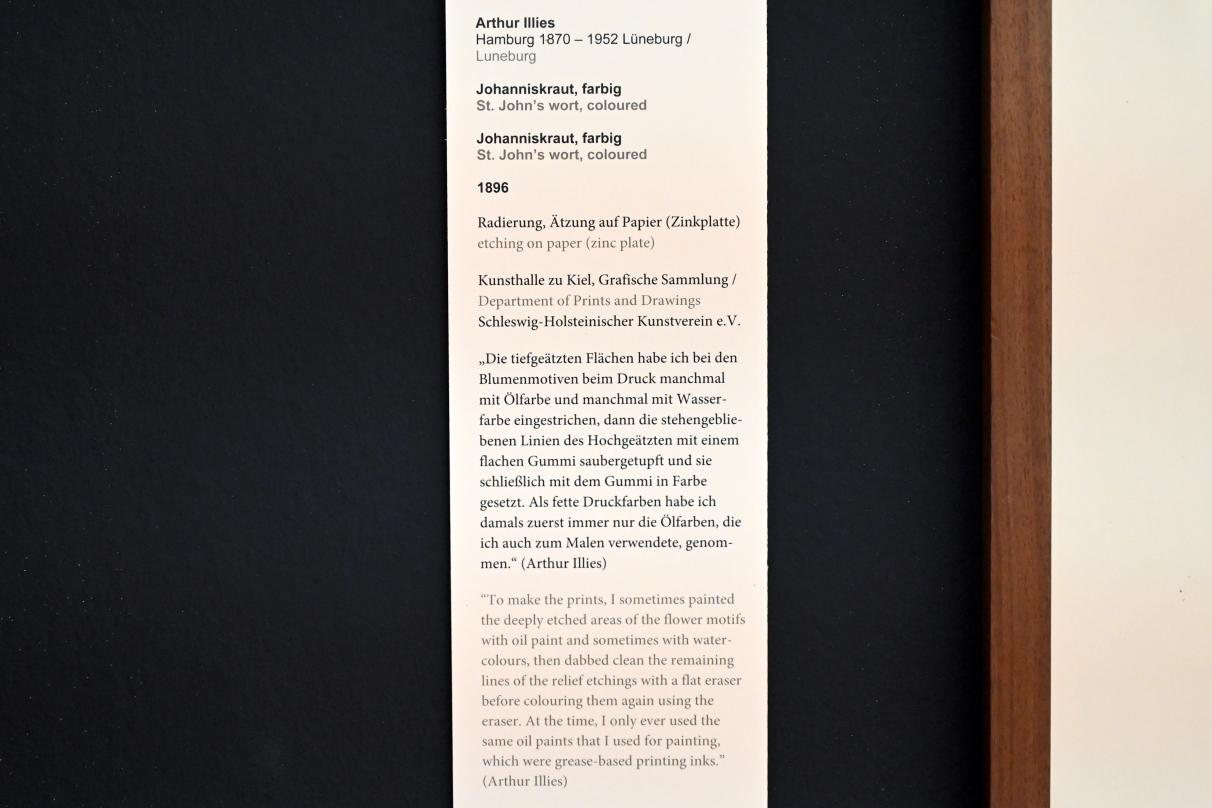Arthur Illies (1895–1912), Johanniskraut, Kiel, Kunsthalle, Pflanzen, 1896, Bild 3/3