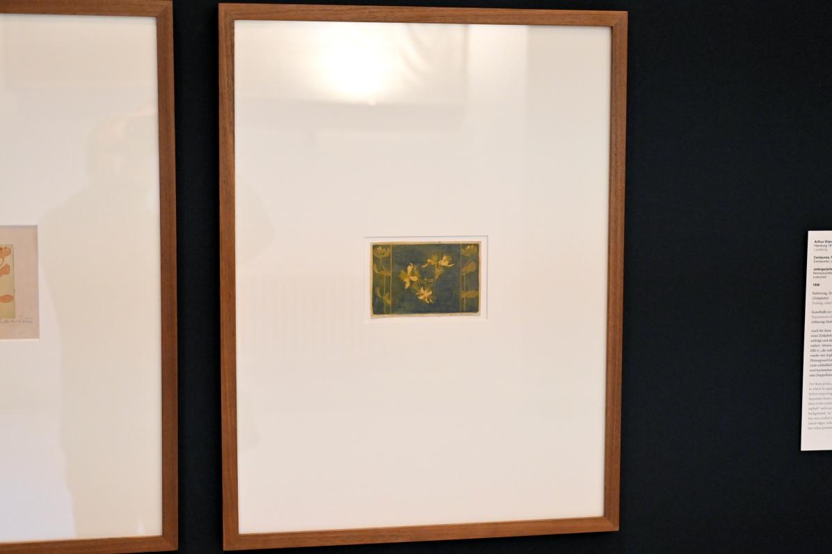 Arthur Illies (1895–1912), Johanniskraut, Kiel, Kunsthalle, Pflanzen, 1896, Bild 2/3