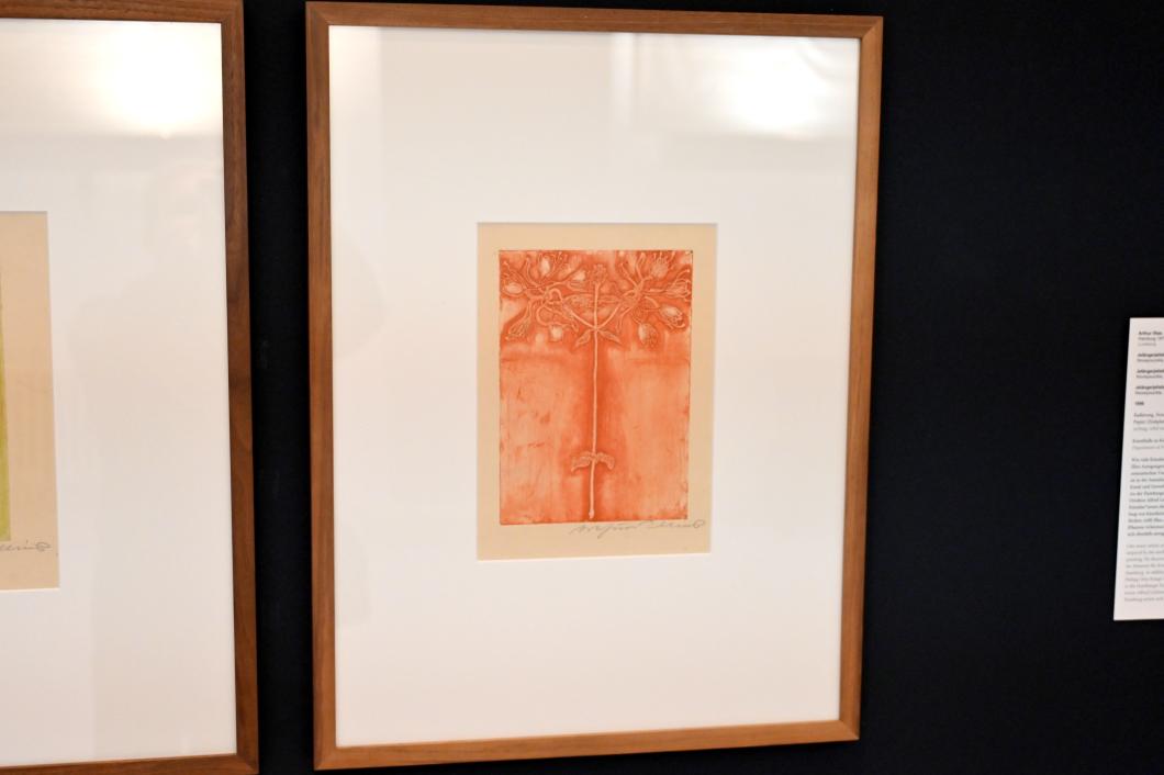 Arthur Illies (1895–1912), Jelängerjelieber (Doppelblüte), Kiel, Kunsthalle, Pflanzen, 1896, Bild 2/3