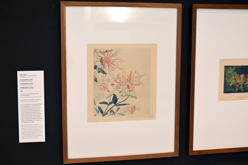 Arthur Illies (1895–1912), Jelängerjelieber, Kiel, Kunsthalle, Pflanzen, 1896, Bild 2/3
