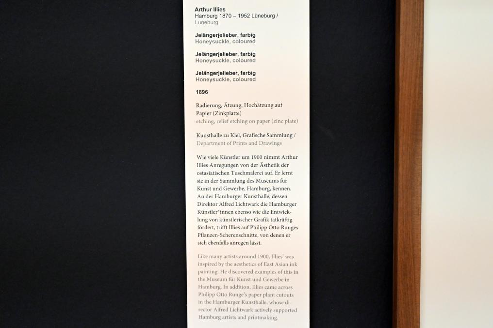 Arthur Illies (1895–1912), Jelängerjelieber, Kiel, Kunsthalle, Pflanzen, 1896, Bild 3/3