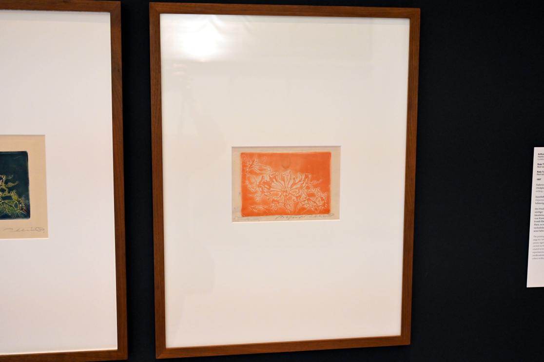 Arthur Illies (1895–1912), Jelängerjelieber, Kiel, Kunsthalle, Pflanzen, 1896, Bild 2/3