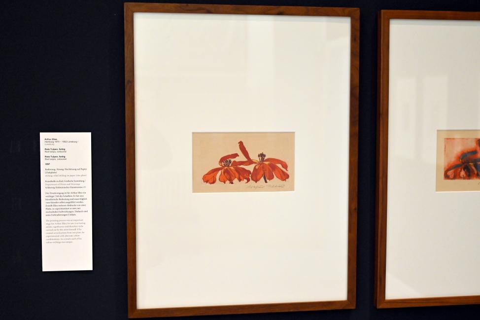 Arthur Illies (1895–1912), Rote Tulpen, Kiel, Kunsthalle, Pflanzen, 1897, Bild 2/3