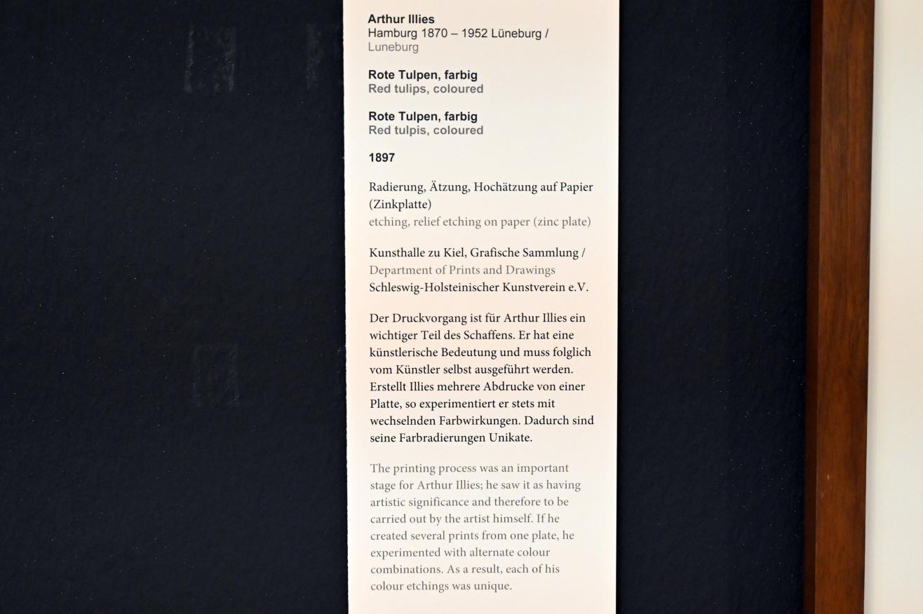 Arthur Illies (1895–1912), Rote Tulpen, Kiel, Kunsthalle, Pflanzen, 1897, Bild 3/3