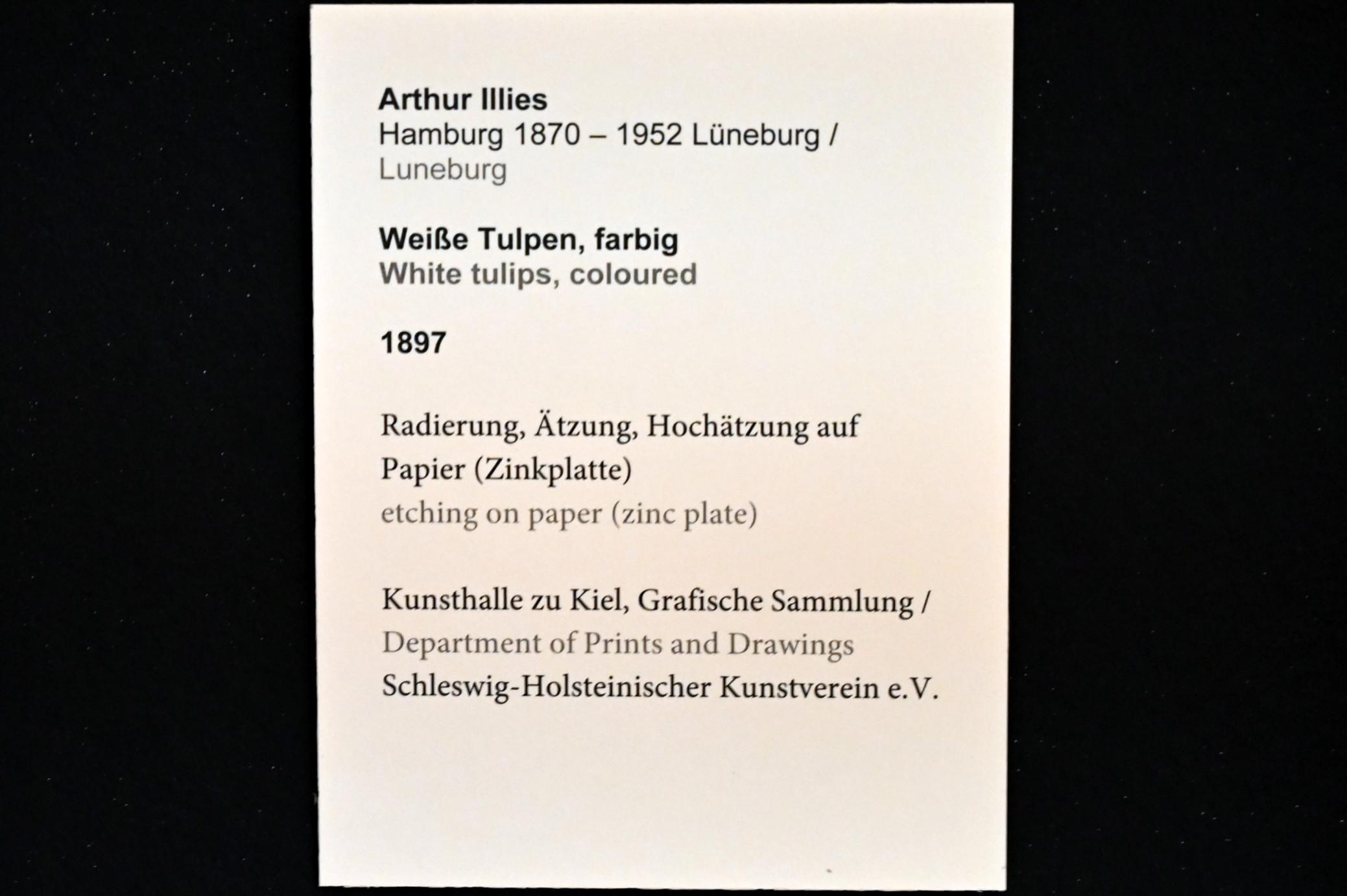 Arthur Illies (1895–1912), Weiße Tulpen, Kiel, Kunsthalle, Pflanzen, 1897, Bild 3/3