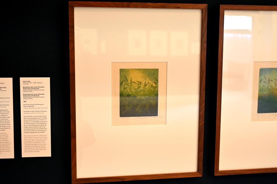 Arthur Illies (1895–1912), Mondsichel über einem Ährenfeld, Kiel, Kunsthalle, Pflanzen, 1896, Bild 2/3