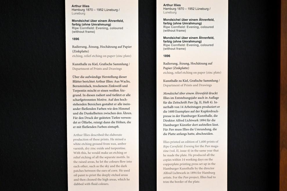 Arthur Illies (1895–1912), Mondsichel über einem Ährenfeld, Kiel, Kunsthalle, Pflanzen, 1896, Bild 3/3