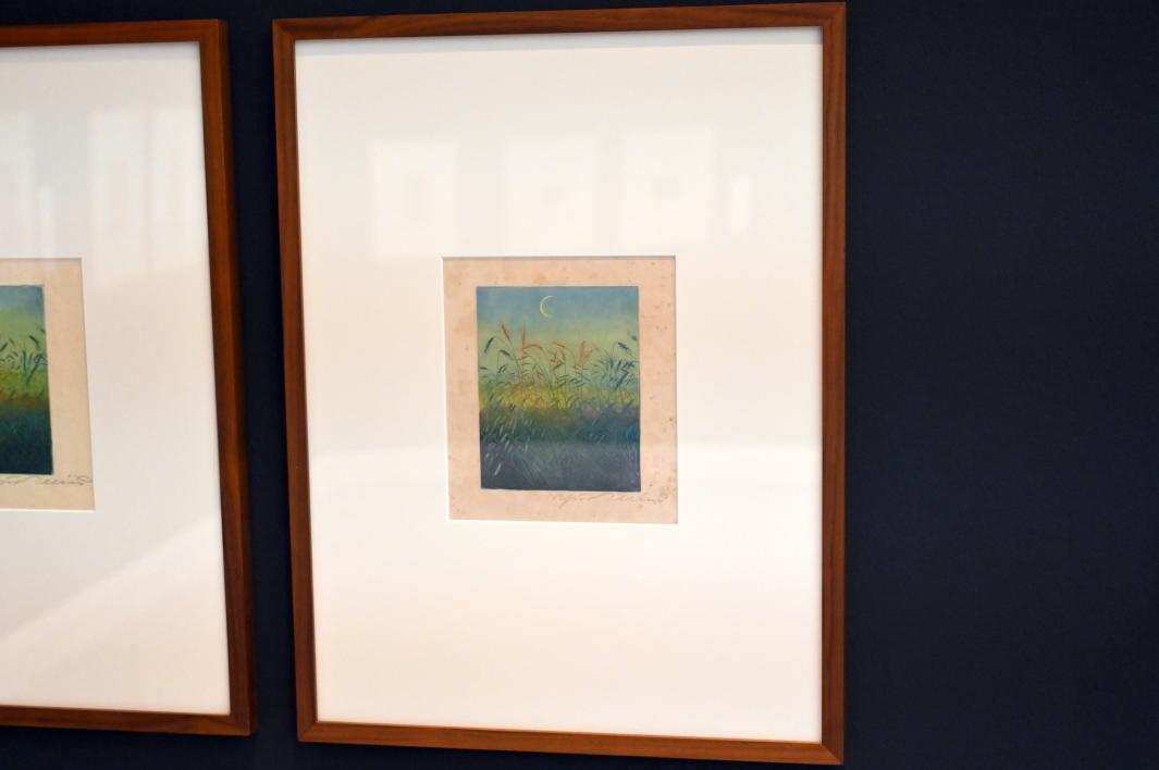 Arthur Illies (1895–1912), Mondsichel über einem Ährenfeld, Kiel, Kunsthalle, Pflanzen, 1896, Bild 2/3