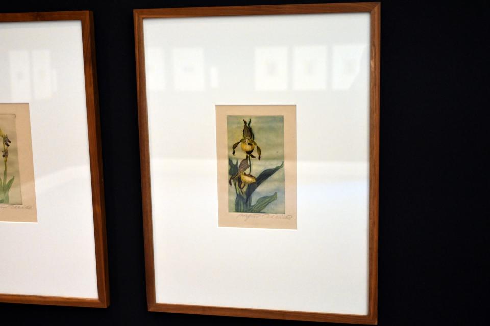 Arthur Illies (1895–1912), Frauenschuh, Kiel, Kunsthalle, Pflanzen, 1897, Bild 2/3