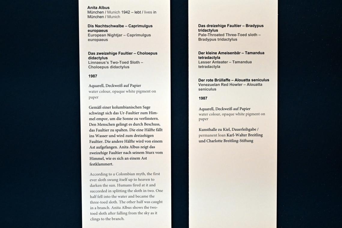 Anita Albus (1986–2004), Die Nachtschwalbe - Caprimulgus europaeus, Kiel, Kunsthalle, Pflanzen, 1987, Bild 3/3