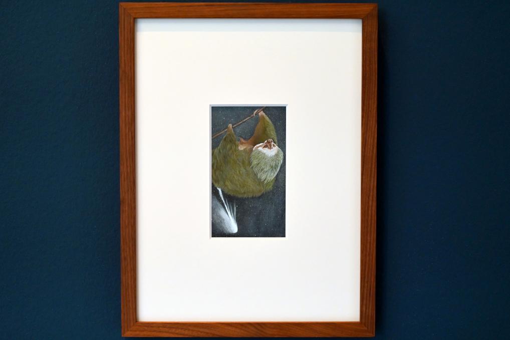 Anita Albus (1986–2004), Das zweizehige Faultier - Choloepus didactylus, Kiel, Kunsthalle, Pflanzen, 1987, Bild 2/3