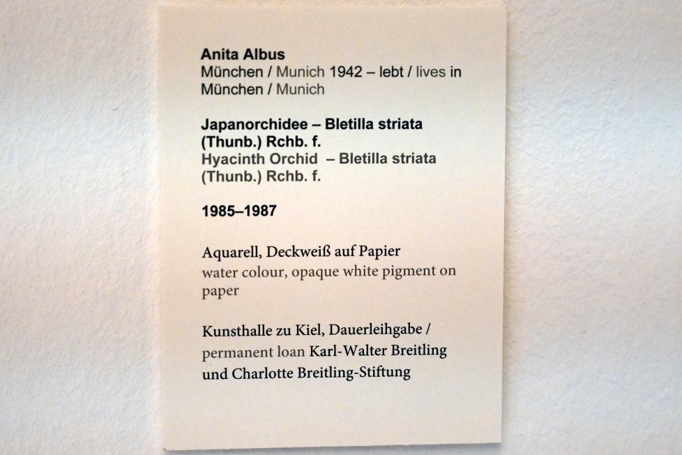 Anita Albus (1986–2004), Japanorchidee - Bletilla striata (Thunb.) Rchb. f., Kiel, Kunsthalle, Pflanzen, 1985–1987, Bild 3/3