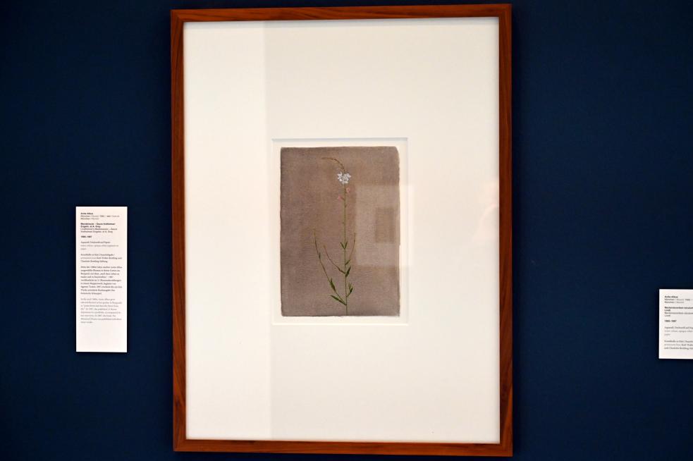 Anita Albus (1986–2004), Mandelraute - Gaura lindheimeri Engelm. et A. Gray, Kiel, Kunsthalle, Pflanzen, 1985–1987, Bild 2/3