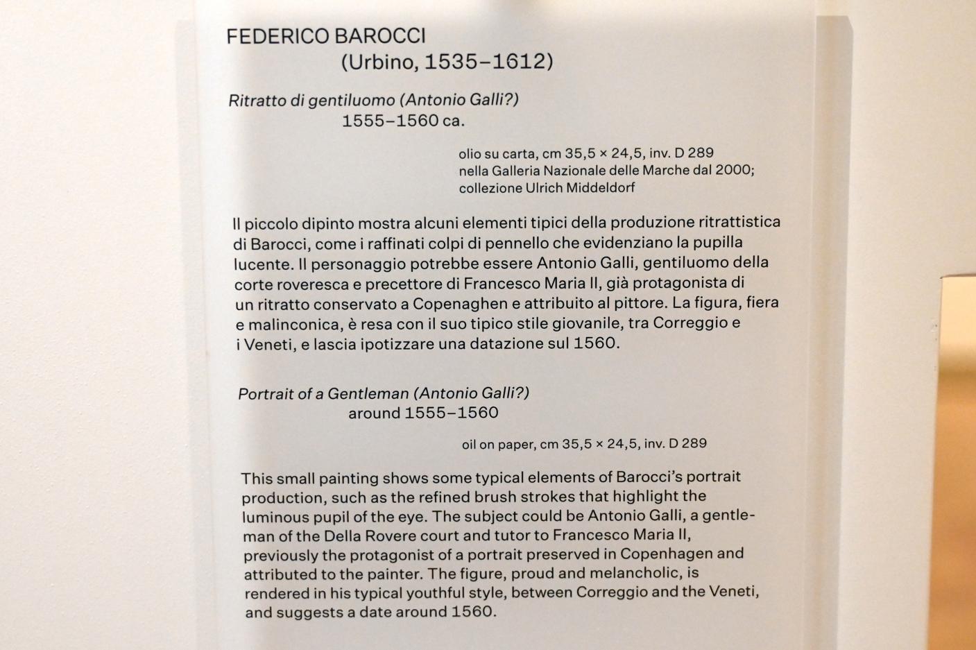 Federico Barocci (1557–1612), Porträt eines Herrn (Antonio Galli?), Urbino, Galleria Nazionale delle Marche, Obergeschoß Saal 11, um 1555–1560, Bild 2/2