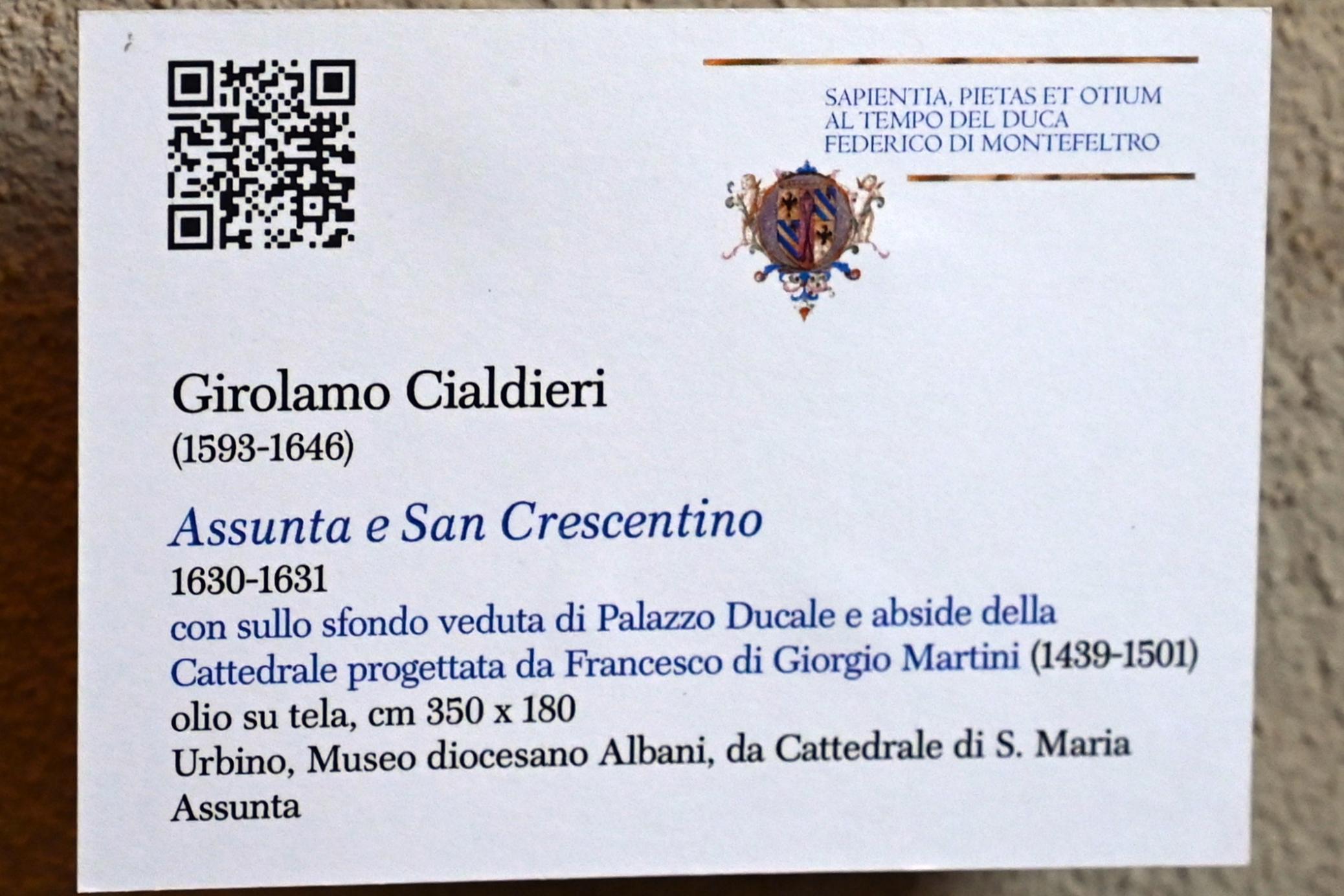 Girolamo Cialdieri (1630–1635), Mariä Himmelfahrt mit dem heiligen Crescentianus, Urbino, Kathedralbasilika Mariä Himmelfahrt, jetzt Urbino, Diözesanmuseum Albani, Saal 7, 1630–1631, Bild 2/2
