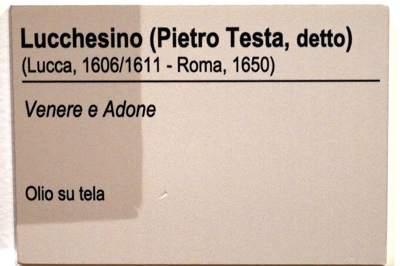 Pietro Testa (il Lucchesino) (Undatiert), Venus und Adonis, Ancona, Pinacoteca civica Francesco Podesti, Obergeschoss Saal 5, Undatiert, Bild 2/2