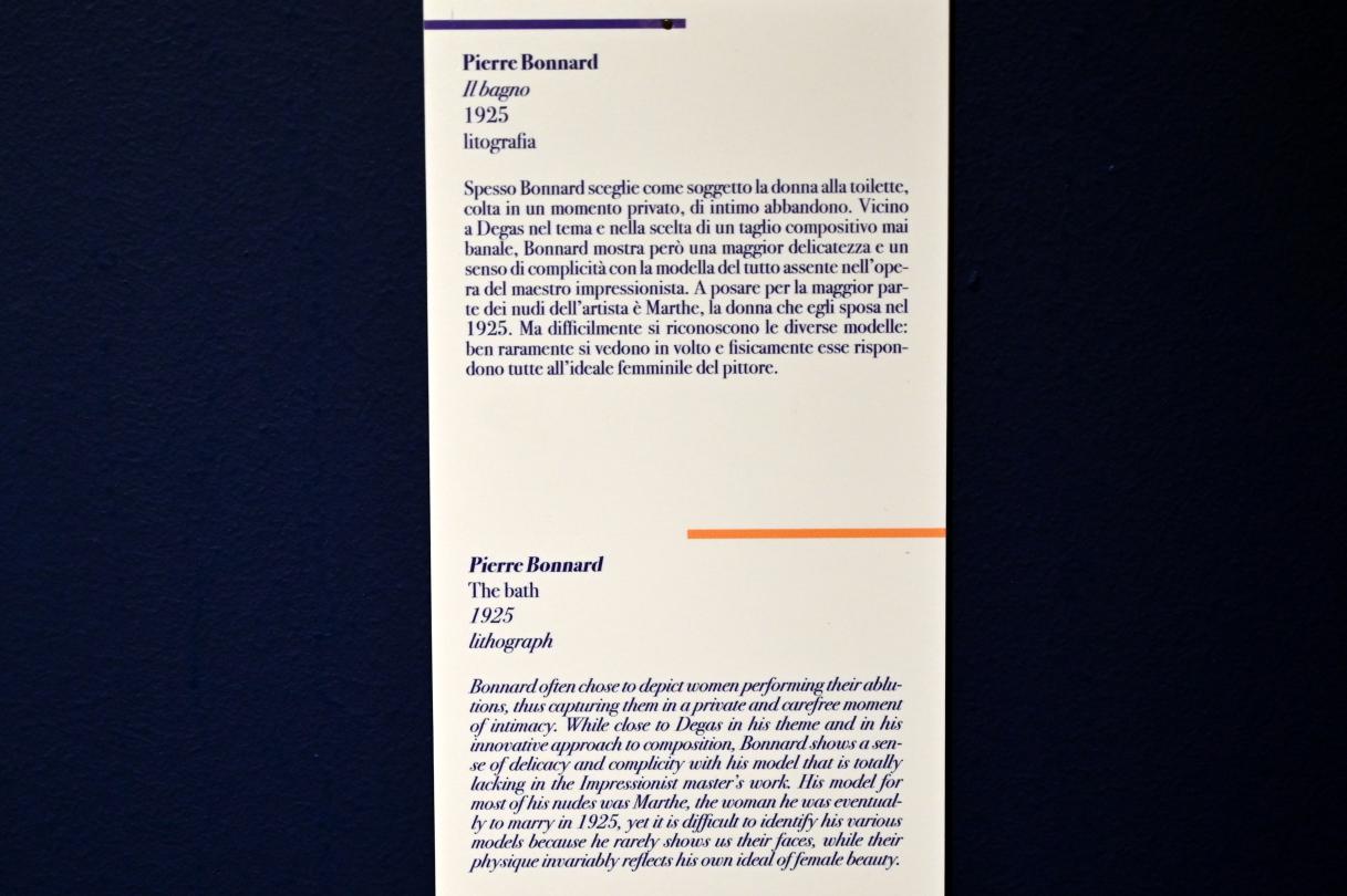 Pierre Bonnard (1893–1943), Das Bad, Ancona, Pinacoteca civica Francesco Podesti, Obergeschoss Saal 7, 1925, Bild 2/2