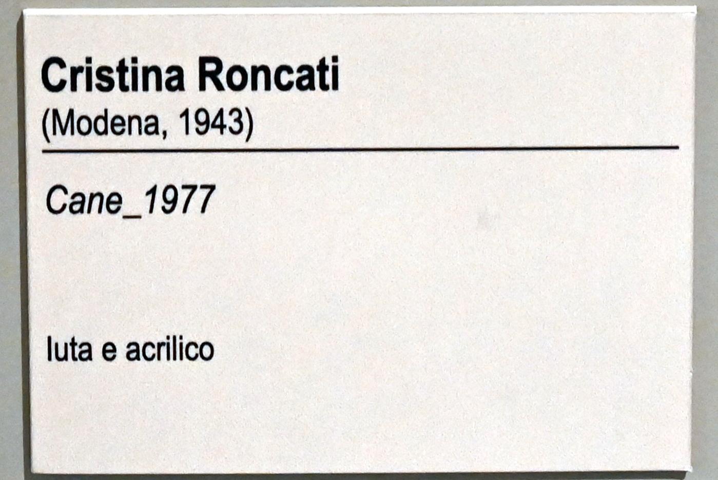 Cristina Roncati (1977), Hund, Ancona, Pinacoteca civica Francesco Podesti, Zwischenetage Saal 1, 1977, Bild 4/4