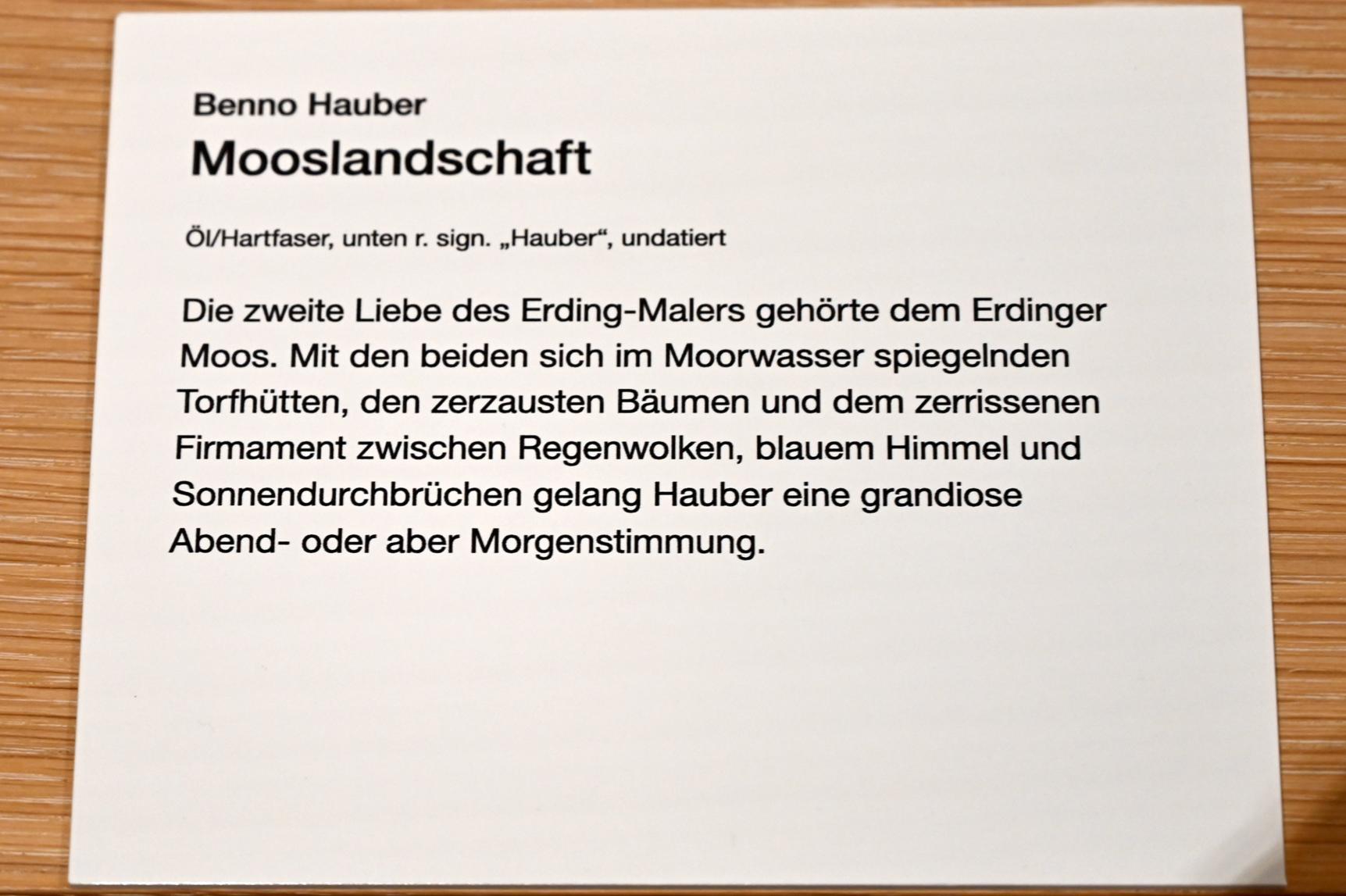 Benno Hauber (1983–1993), Mooslandschaft, Erding, Museum Erding, Erdinger Künstler, Undatiert, Bild 2/2